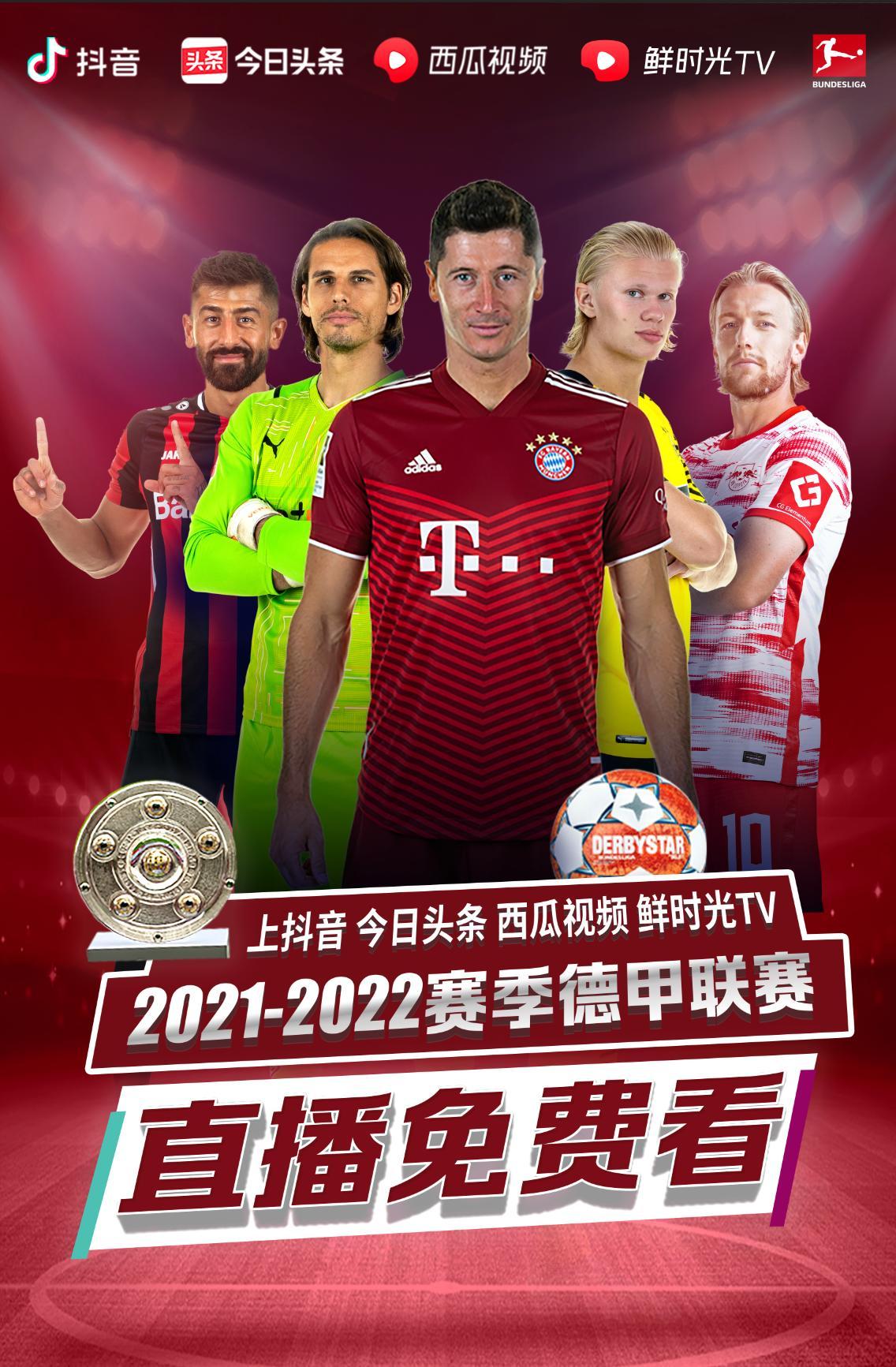 细细分析他