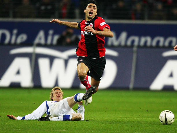 本占据绝对 本占据绝对